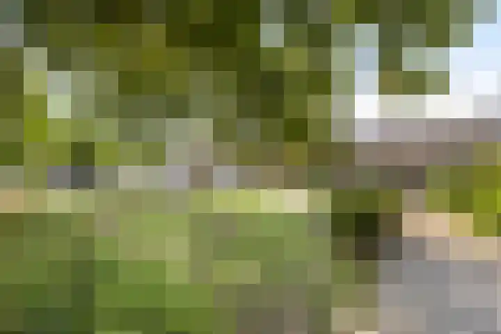 Castricumhof 41 Arnhem thumbnail 44