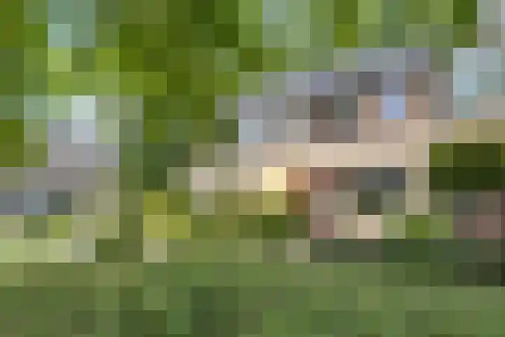 Castricumhof 41 Arnhem thumbnail 45