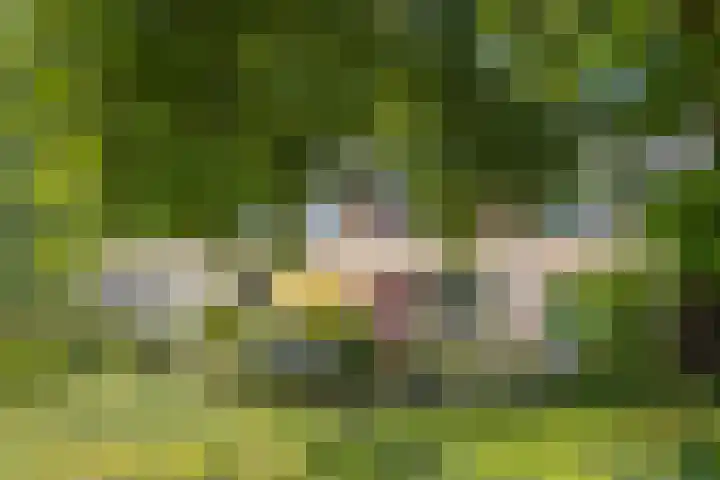 Castricumhof 41 Arnhem thumbnail 47