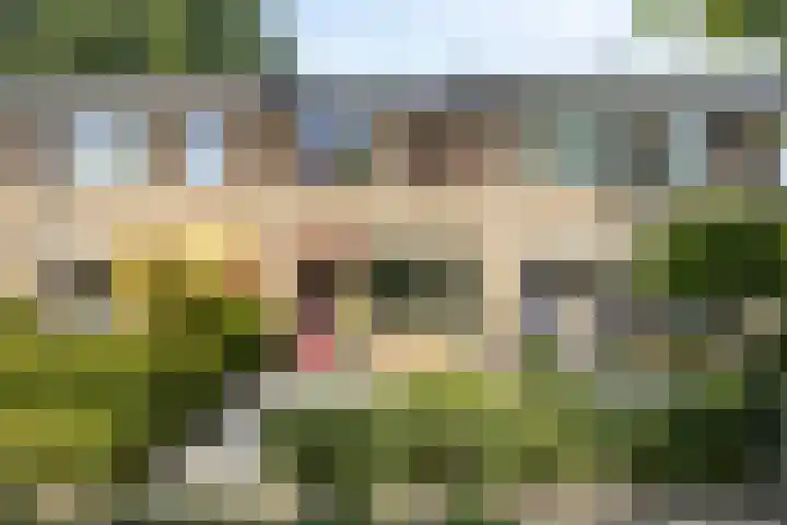 Castricumhof 41 Arnhem thumbnail 48
