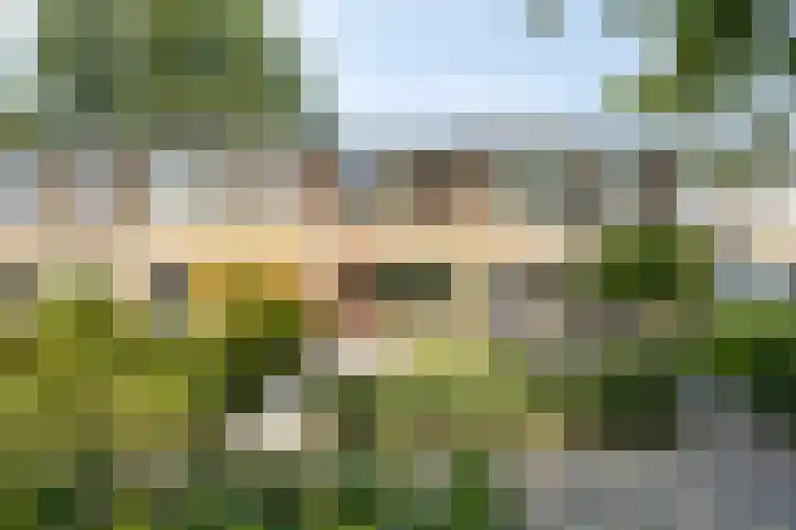 Castricumhof 41 Arnhem thumbnail 53