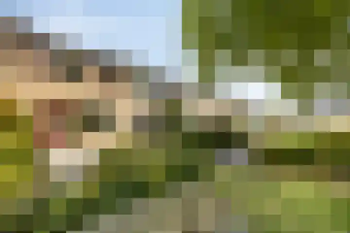 Castricumhof 41 Arnhem thumbnail 6