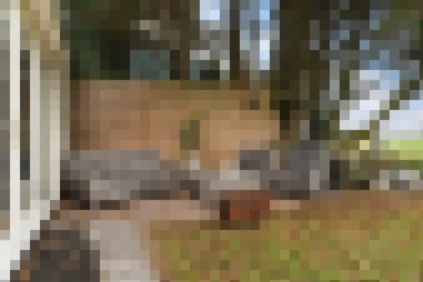 Castricummer Werf 14 Castricum thumbnail 33
