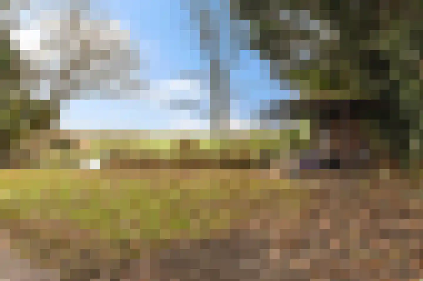 Castricummer Werf 14 Castricum thumbnail 39
