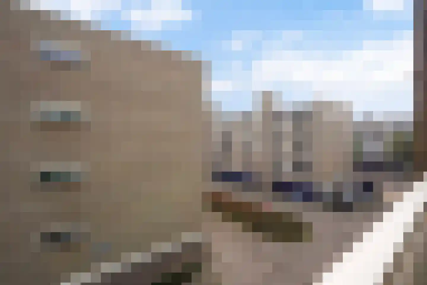 Castricumplein 31 Den Haag thumbnail 26