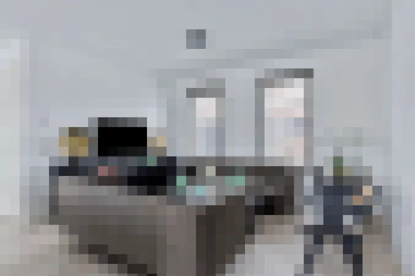 Castrumstraat 14 Naaldwijk thumbnail 16