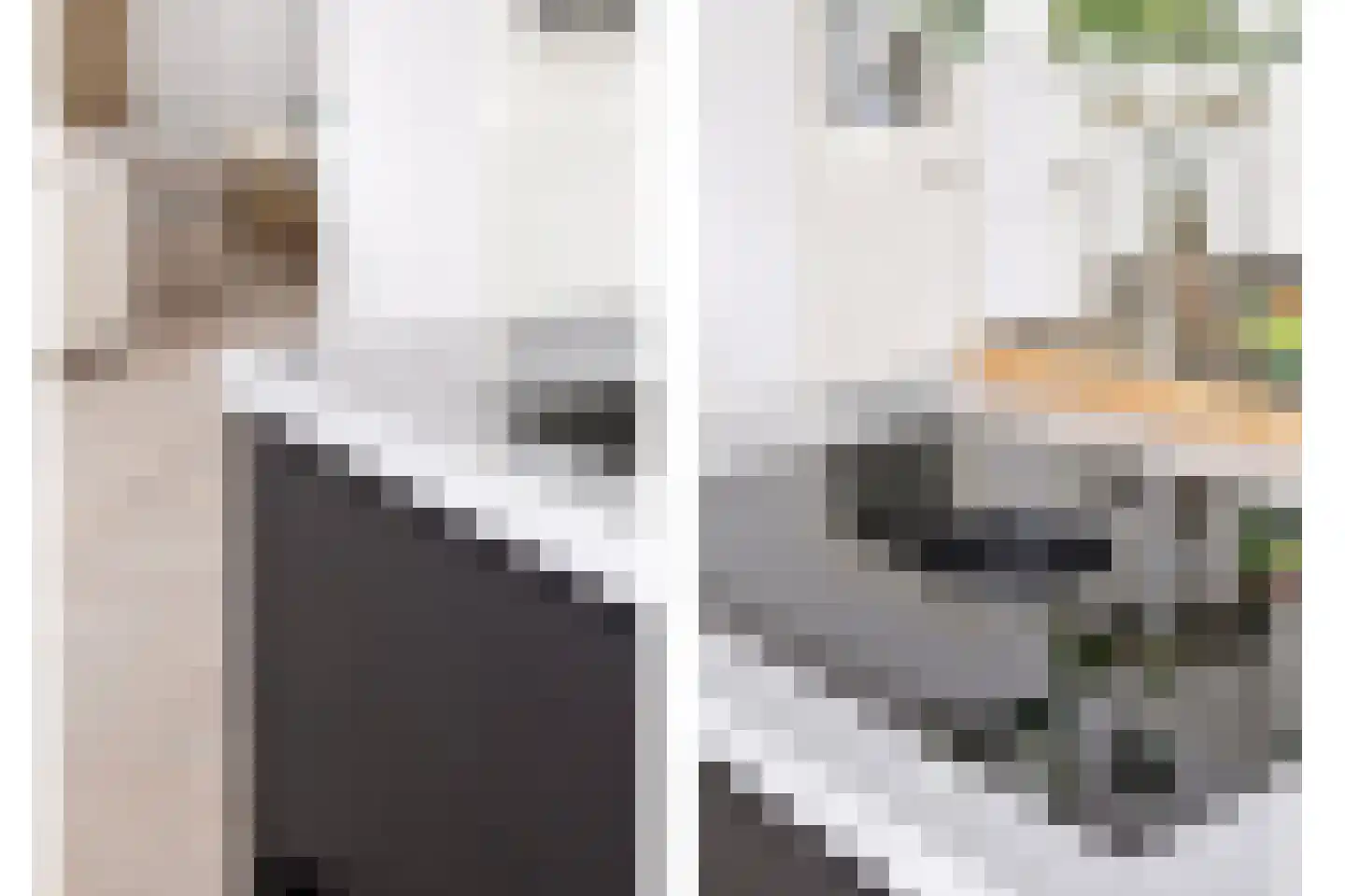 Castrumstraat 14 Naaldwijk thumbnail 39