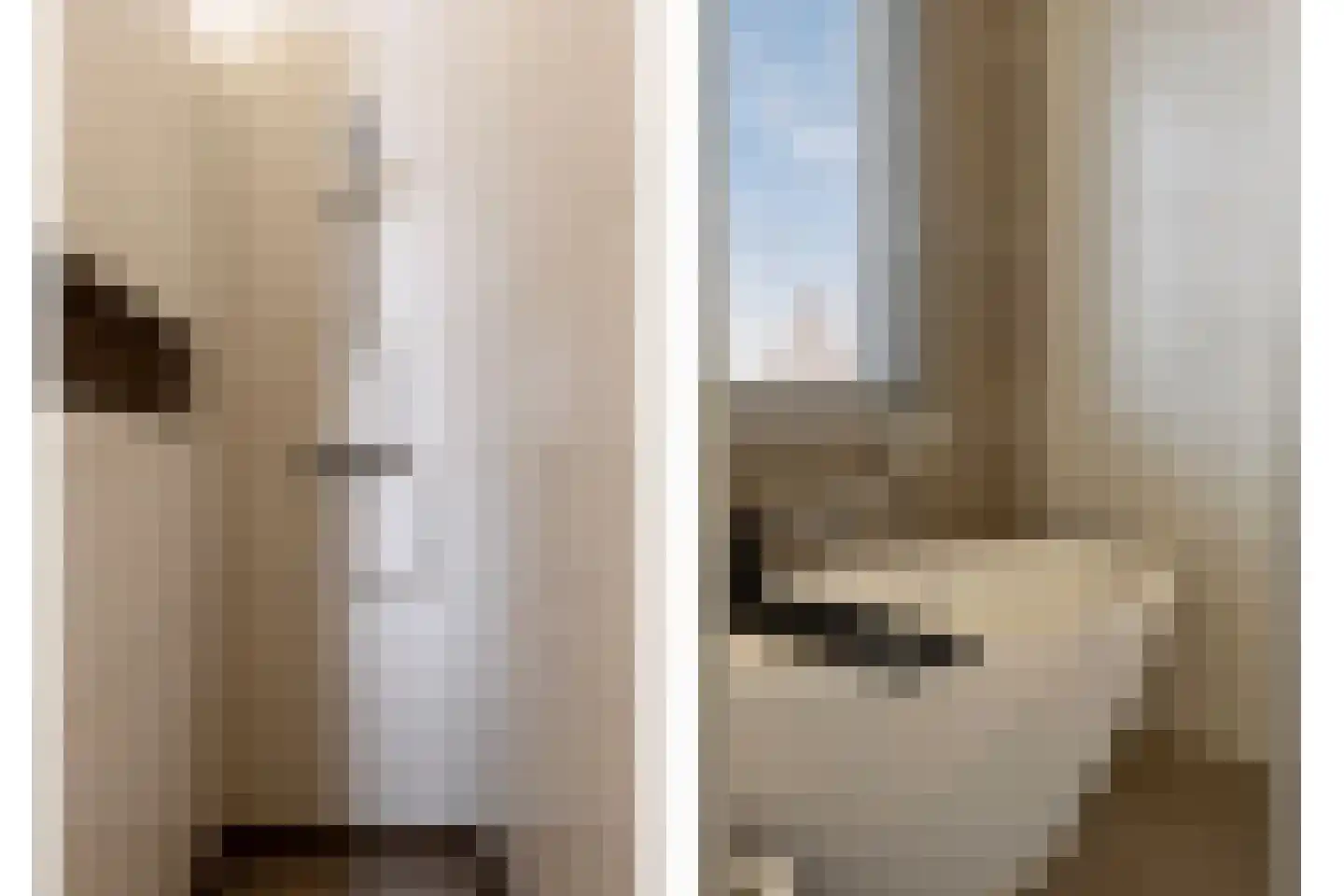 Castrumstraat 14 Naaldwijk thumbnail 42