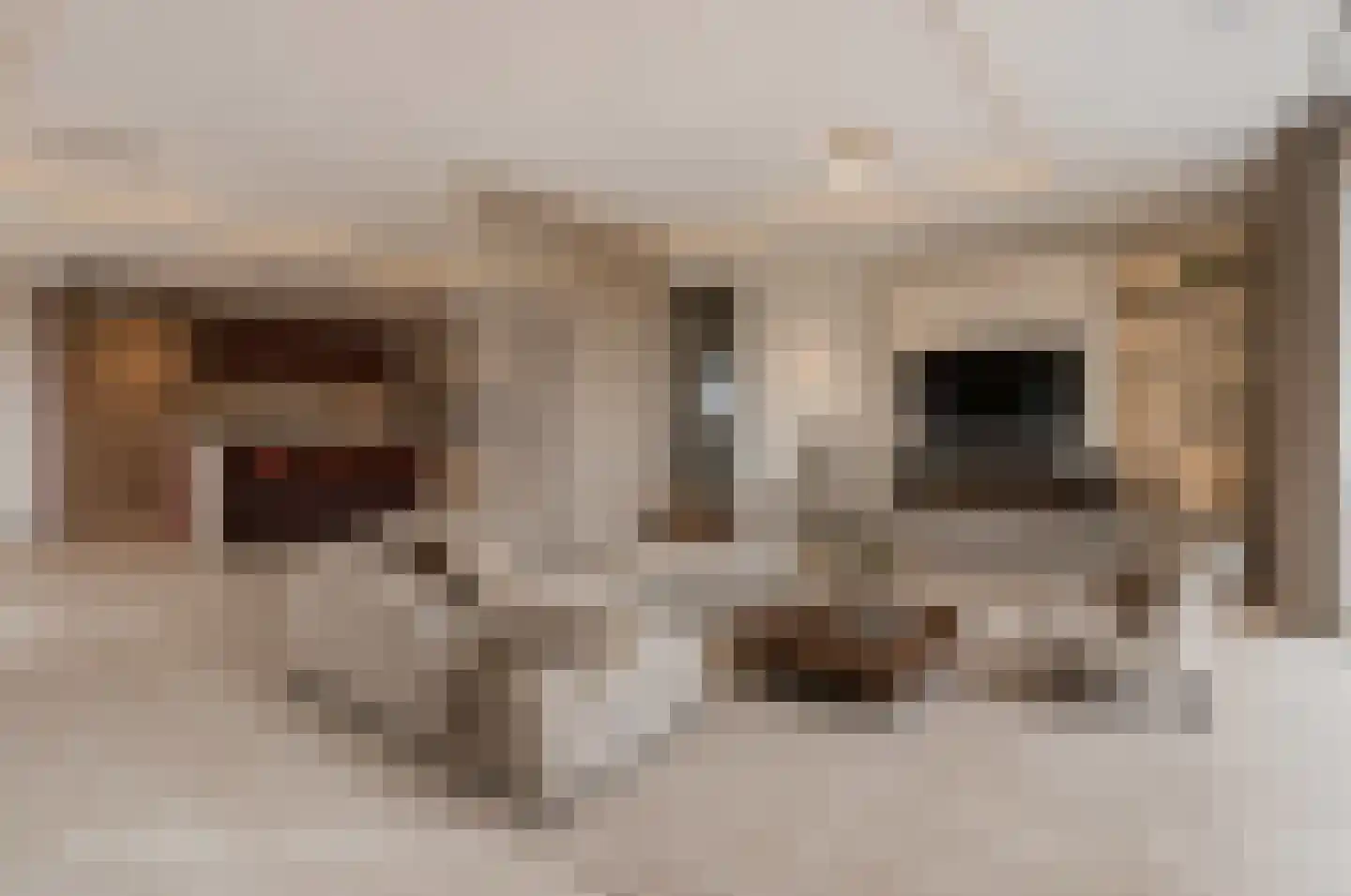 Catalijnenakker 76 Oirschot thumbnail 12