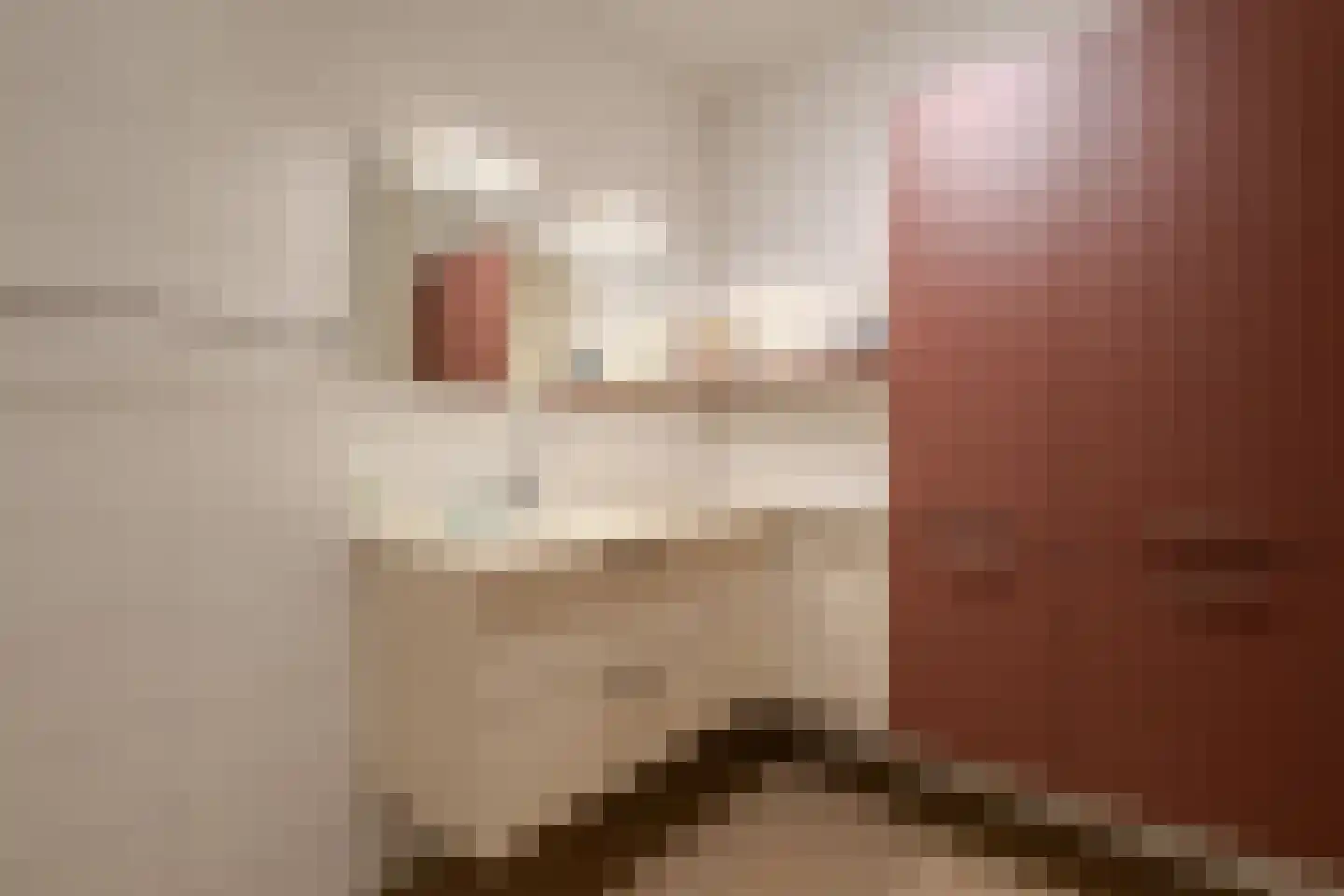 Catalijnenakker 76 Oirschot thumbnail 28