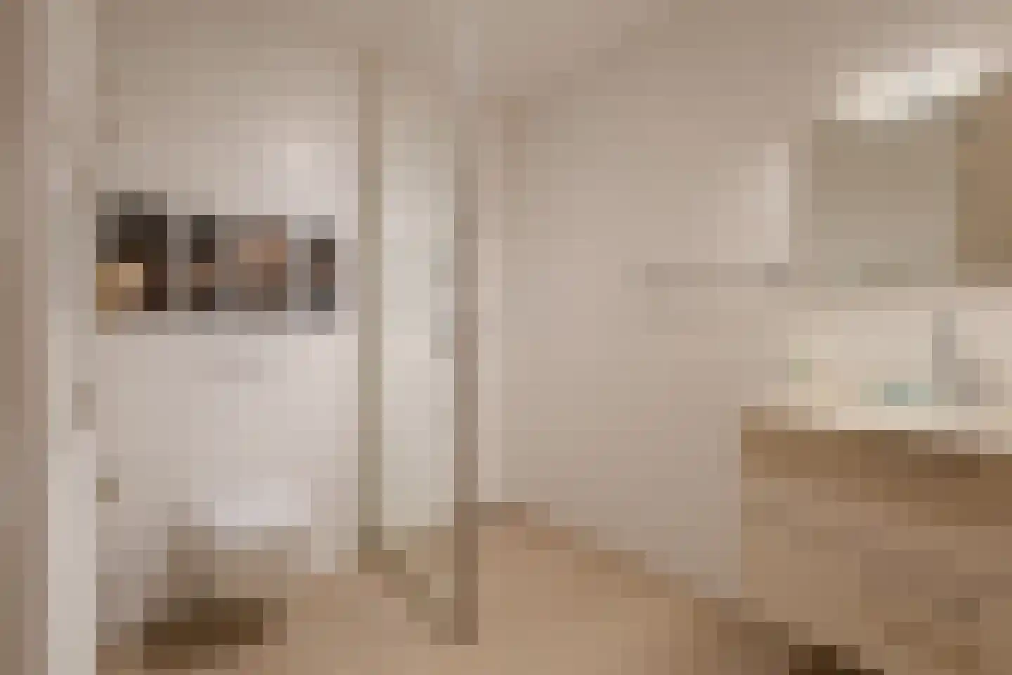 Catalijnenakker 76 Oirschot thumbnail 29