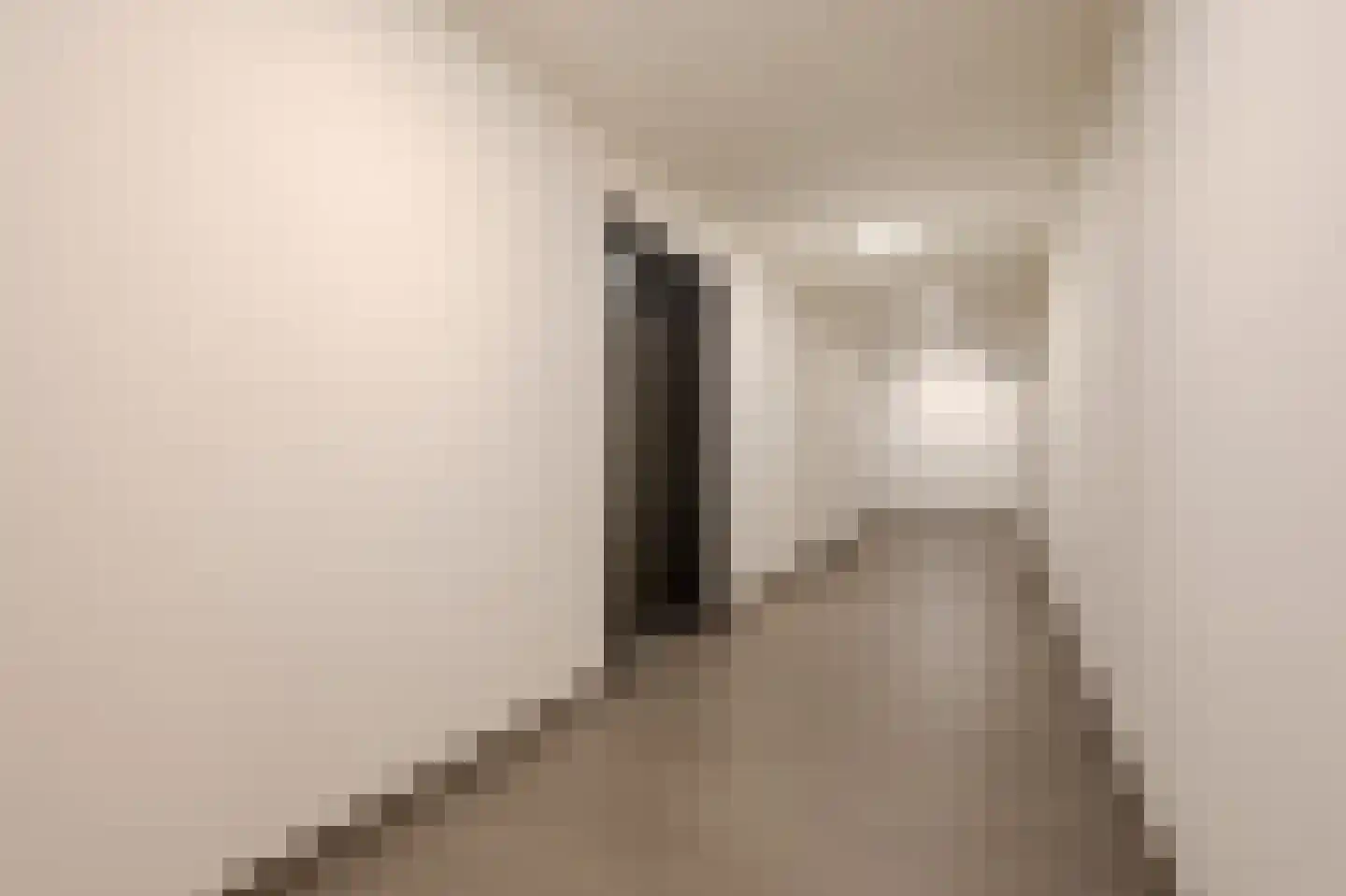 Catalijnenakker 76 Oirschot thumbnail 8