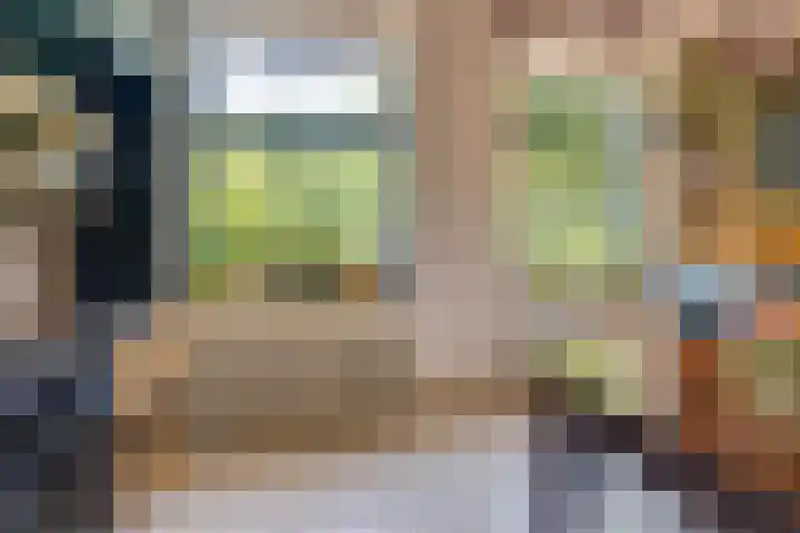 Catalijneweg 47 Borssele thumbnail 14