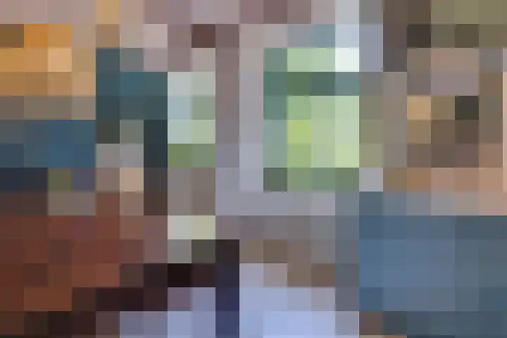 Catalijneweg 47 Borssele thumbnail 15