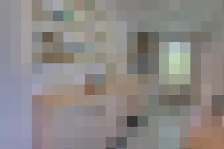 Catalijneweg 47 Borssele thumbnail 17