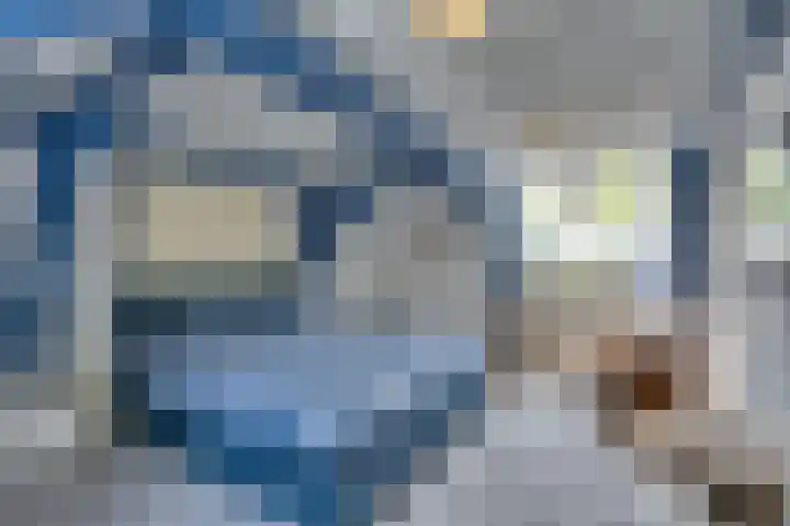 Catalijneweg 47 Borssele thumbnail 20
