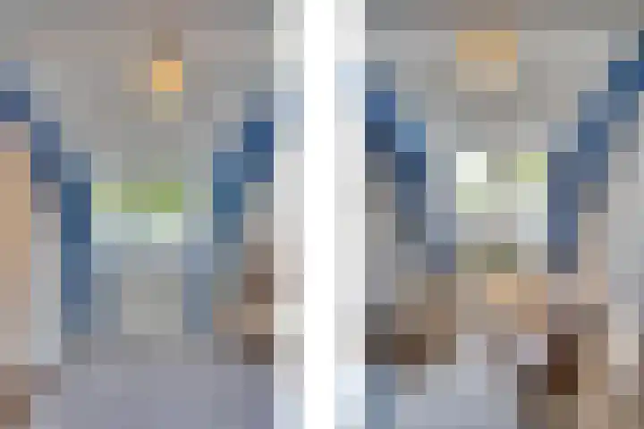 Catalijneweg 47 Borssele thumbnail 22
