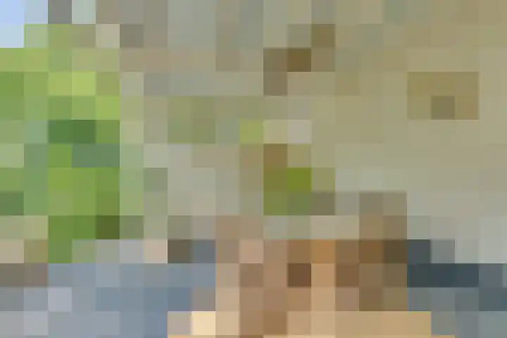 Catalijneweg 47 Borssele thumbnail 28