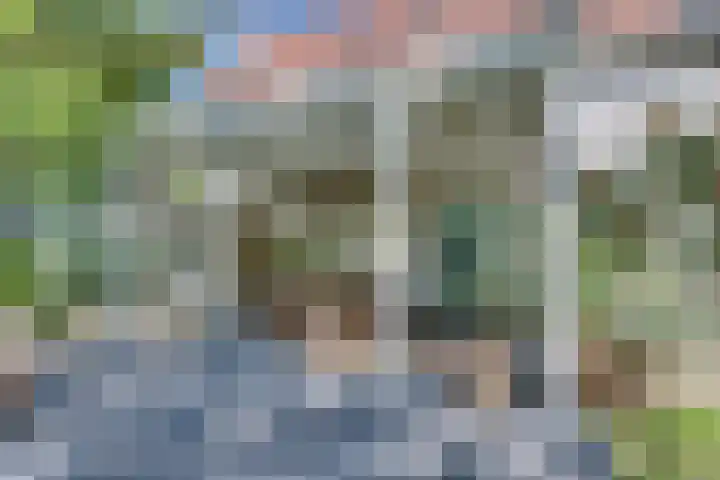 Catalijneweg 47 Borssele thumbnail 30