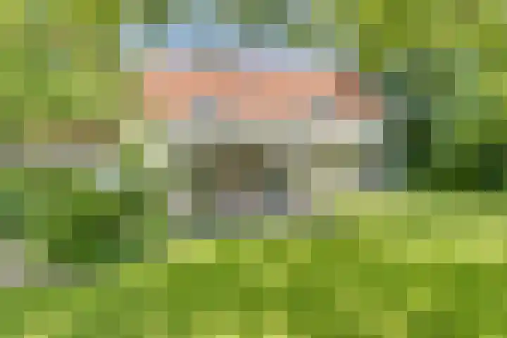 Catalijneweg 47 Borssele thumbnail 33