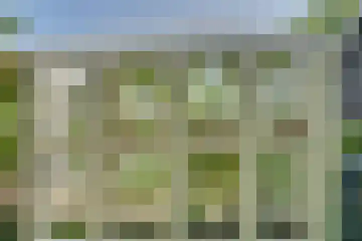 Catalijneweg 47 Borssele thumbnail 35