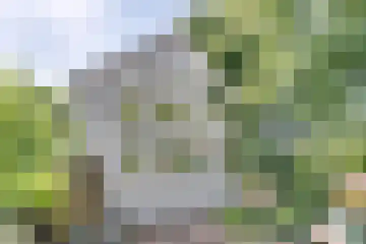 Catalijneweg 47 Borssele thumbnail 38