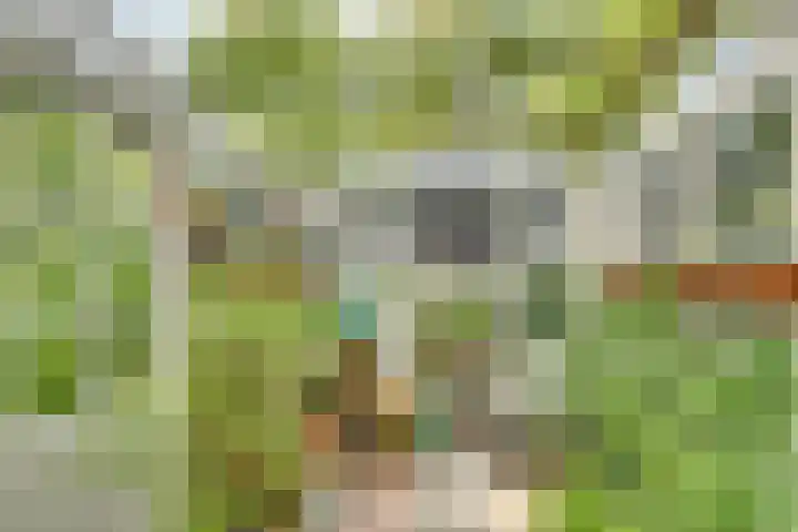 Catalijneweg 47 Borssele thumbnail 39