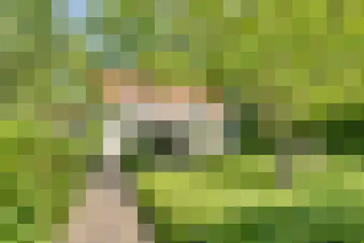 Catalijneweg 47 Borssele thumbnail 44