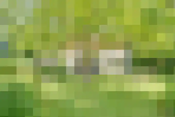 Catalijneweg 47 Borssele thumbnail 45