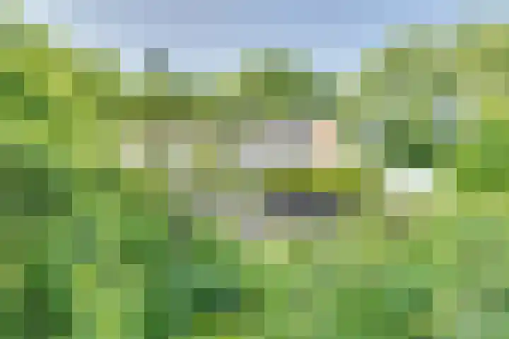 Catalijneweg 47 Borssele thumbnail 46