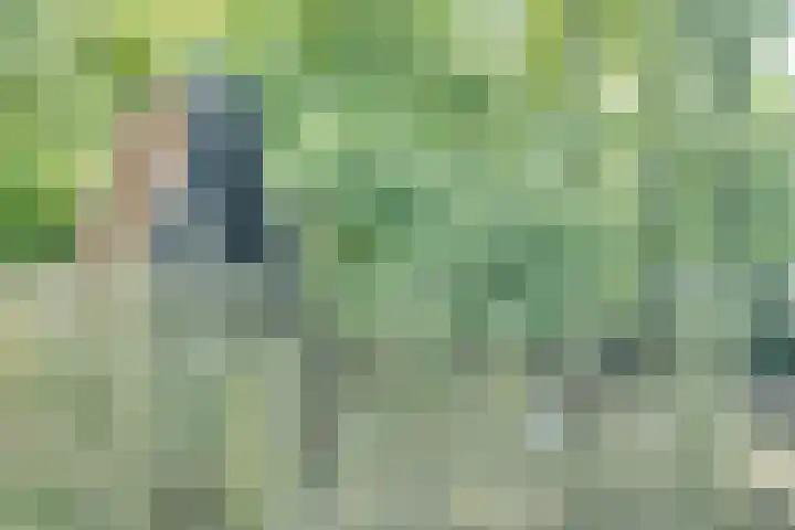 Catalijneweg 47 Borssele thumbnail 49