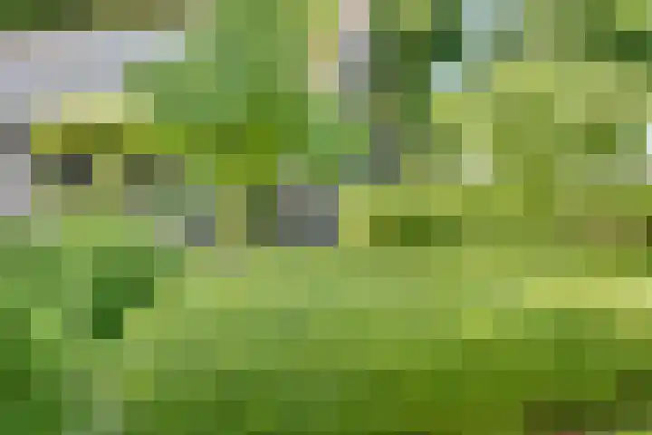 Catalijneweg 47 Borssele thumbnail 50