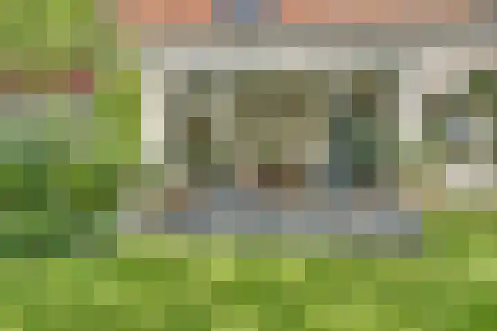 Catalijneweg 47 Borssele thumbnail 51