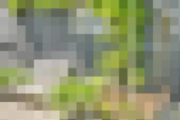 Catalijneweg 47 Borssele thumbnail 53