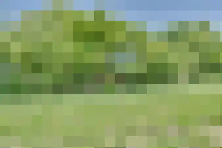 Catalijneweg 47 Borssele thumbnail 56