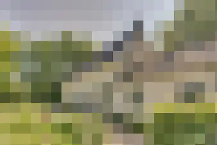 Catalijneweg 47 Borssele thumbnail 58