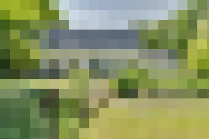 Catalijneweg 47 Borssele thumbnail 59