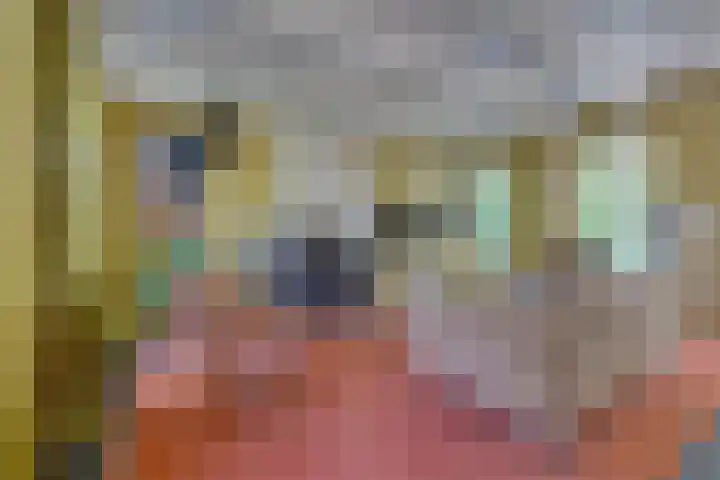Catalijneweg 47 Borssele thumbnail 6