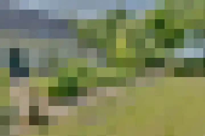 Catalijneweg 47 Borssele thumbnail 60