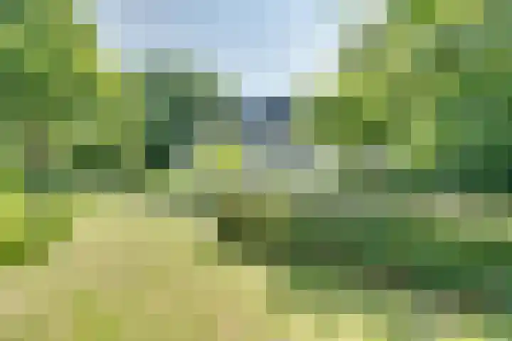 Catalijneweg 47 Borssele thumbnail 61