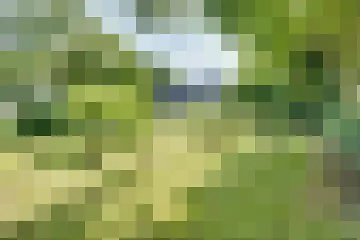 Catalijneweg 47 Borssele thumbnail 62