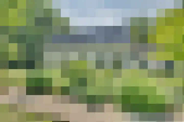 Catalijneweg 47 Borssele thumbnail 65