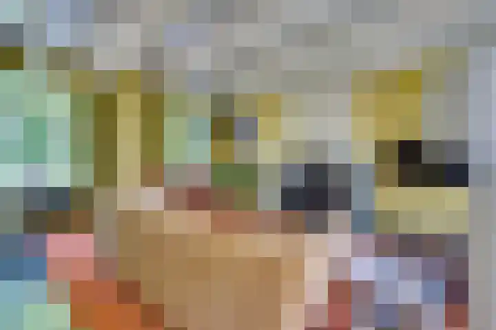 Catalijneweg 47 Borssele thumbnail 7