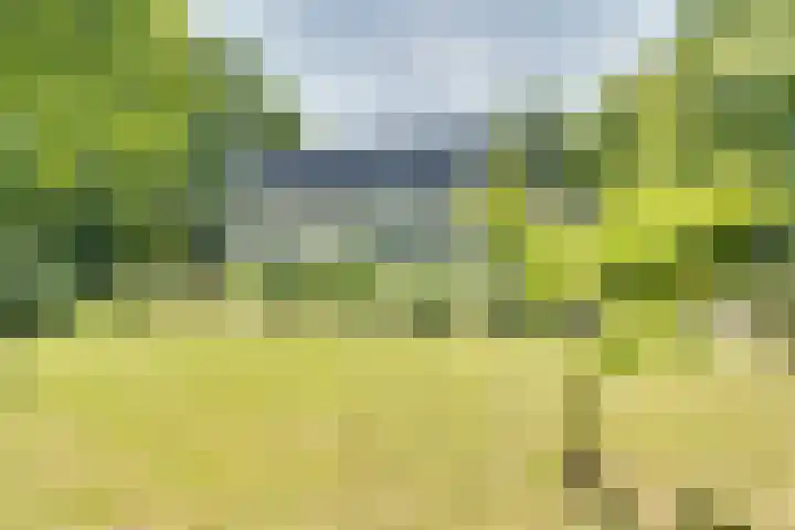 Catalijneweg 47 Borssele thumbnail 71