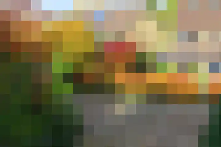 Catalonië 35 Utrecht thumbnail 29