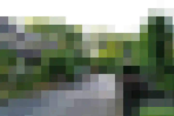Catalonië 35 Utrecht thumbnail 39