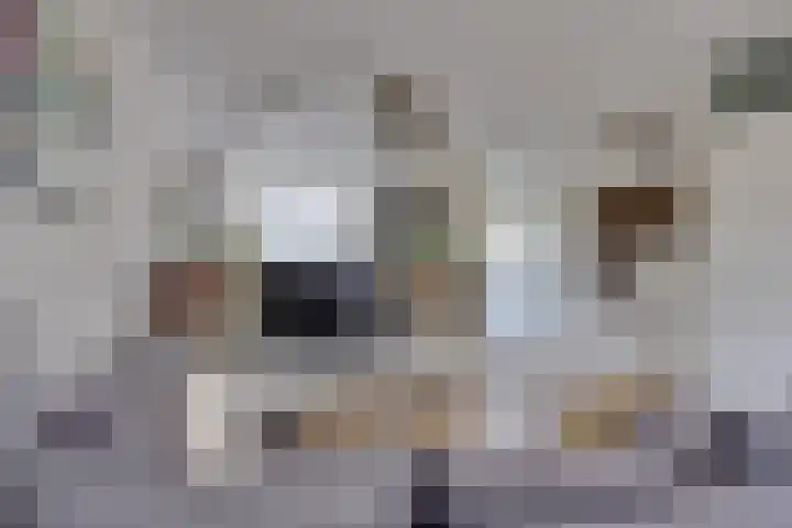 Catalonië 7 Utrecht thumbnail 11