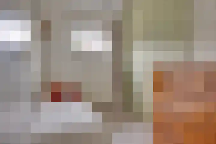 Catalonië 7 Utrecht thumbnail 16