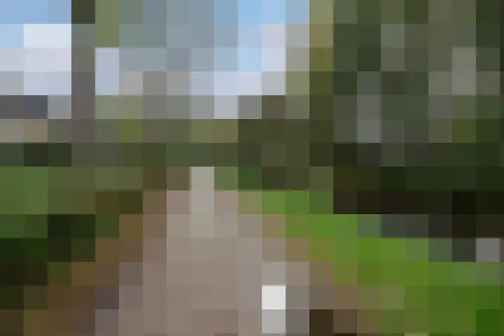 Catalonië 7 Utrecht thumbnail 29