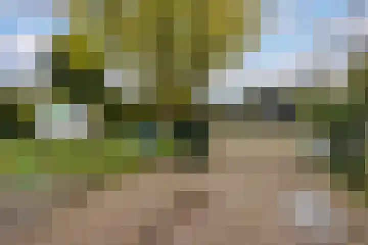 Catalonië 7 Utrecht thumbnail 30